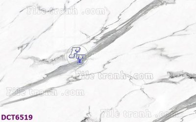 File tranh File gốc in nền tường vân đá cẩm thạch DCT6519 (gốc) chủ đề trừu tượng
