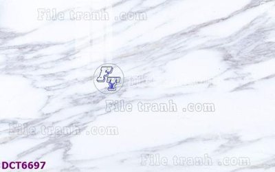 File gốc File gốc in nền tường vân đá cẩm thạch DCT6697 (vector) cho in ấn