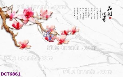 File tranh File gốc in nền tường vân đá cẩm thạch DCT6861 (gốc) in trên kính