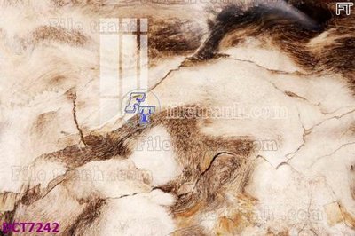 File tranh File gốc in nền tường vân đá cẩm thạch DCT7242 (bản gốc) in canvas