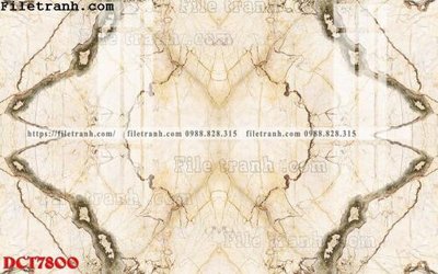 File ảnh File in vân đá cẩm thạch DCT7800 (gốc) trang trí khách sạn