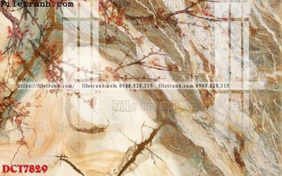 File tranh in trần File in vân đá cẩm thạch DCT7829 (ảnh gốc siêu nét)