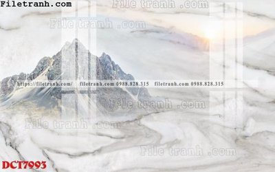 File tranh File in vân đá cẩm thạch DCT7993 (gốc) chủ đề tĩnh vật