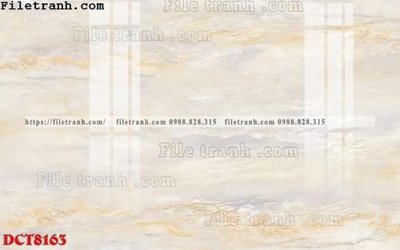 File tranh File in vân đá cẩm thạch DCT8163 (ảnh gốc) in trần 3D