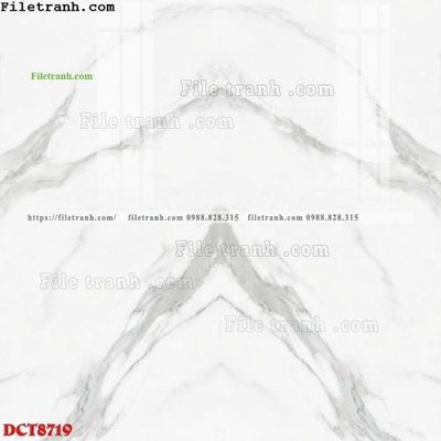 File in lụa File in vân đá cẩm thạch DCT8719 (tân cổ điển) File in vân đá cẩm thạch DCT8719