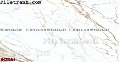 File gốc File in vân đá cẩm thạch DCT9111 (in tráng gương) sang trọng