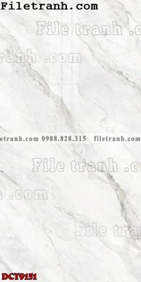File gốc File in vân đá cẩm thạch DCT9151 (in ấn) không giới hạn