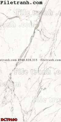 Ảnh gốc File in vân đá cẩm thạch DCT9160 (độ nét cao) in mica