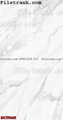 File in trần File in vân đá cẩm thạch DCT9165 (bản gốc) mây trời