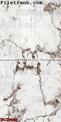 File gốc File in vân đá cẩm thạch DCT9266 (dành cho trang trí nội thất)