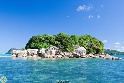 File gốc File gốc đại đương DD110 (in lụa) chi tiết cao