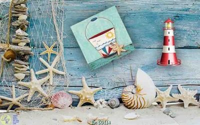 File in trần File gốc đại đương DD114 (bản gốc) 5D