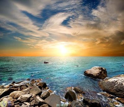 Download file File gốc đại đương DD117 (chuẩn in) chất lượng cao