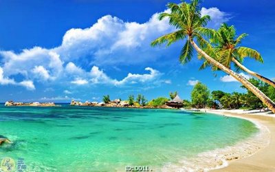 Tải file File gốc đại đương DD11 (gốc) làm tranh trang trí