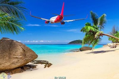 Ảnh gốc File gốc đại đương DD138 (nét căng) in mica