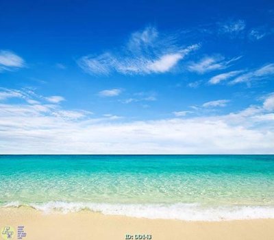 File tranh File gốc đại đương DD143 (ảnh gốc) không bị mờ