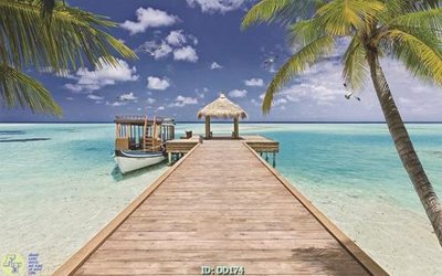 File PSD File gốc đại đương DD174 (bản gốc) độ phân giải cao