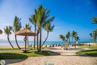 File ảnh File gốc đại đương DD183 (gốc) in decal dán tường