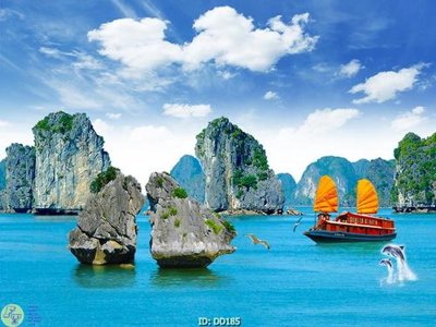 File gốc File gốc đại đương DD185 (in tráng gương) ốp tường