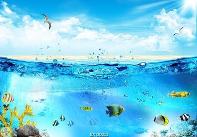 Tải file gốc File gốc đại đương DD211 (in khổ lớn) không vỡ