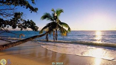 File gốc File gốc đại đương DD215 (ảnh chi tiết) để in trần