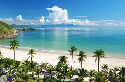 File tranh gốc File gốc đại đương DD234 (bản quyền) độc đáo