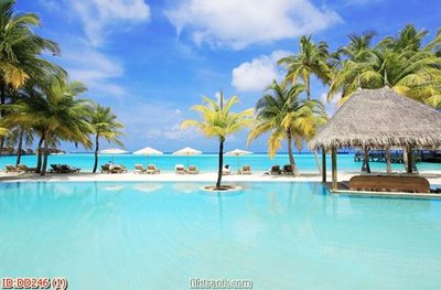 File gốc File gốc đại đương biển DD246 (PNG) chất lượng cao