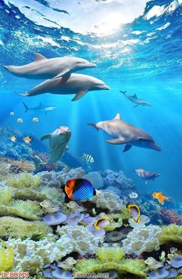 Download file gốc File gốc đại đương biển DD278 (in lụa) cao cấp