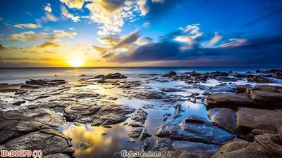 File ảnh File gốc đại đương biển DD279 (gốc) in backdrop sự kiện