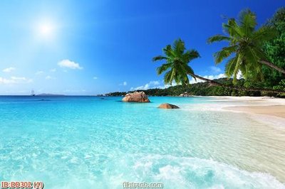 File tranh File gốc đại đương biển DD302 (gốc) chủ đề con người