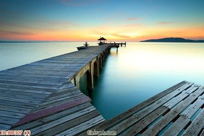 File ảnh File gốc đại đương biển DD307 (gốc) in standee