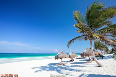 Tải file gốc File gốc đại đương biển DD310 (in khổ lớn) quảng cáo