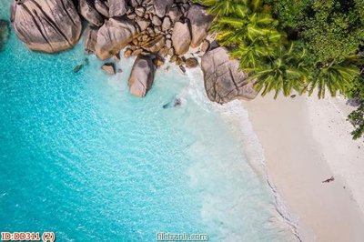 Tải file File gốc đại đương biển DD311 (ảnh gốc) in gạch 3D