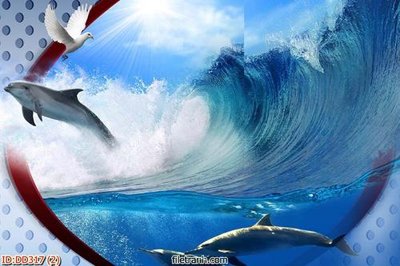 Tải file gốc File gốc đại đương biển DD317 (in tráng gương) cao cấpFile gốc File gốc đại đương biển DD317 (in ấn) phiên bản độc quyền