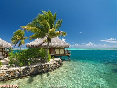 Ảnh gốc File gốc đại đương biển DD334 (độ nét cao) in tráng gương