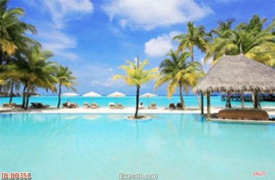 File gốc File gốc đại đương biển DD351 (in tráng gương) sang trọng