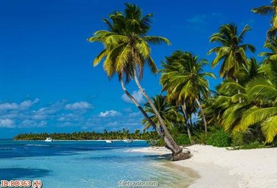 Download file File gốc đại đương biển DD363 (gốc) cho xưởng in