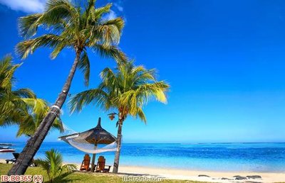 Tải file gốc File gốc đại đương biển DD365 (bản PSD) đầy đủ layer