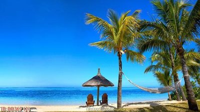 File tranh File gốc đại đương biển DD367 (bản gốc) in canvas