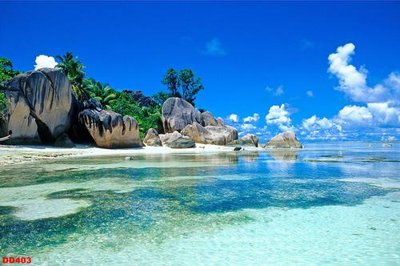 File in trần File gốc đại đương biển DD403 (file gốc) phong thủy