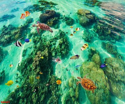 Hình ảnh file gốc in lụa File gốc đại đương biển DD421