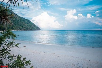 File tranh quảng cáo File gốc đại đương biển DD445 (download file gốc)