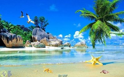 Download file gốc File gốc đại đương DD7 (in mica) 3D