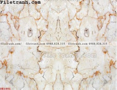 Tải file File vân đá đá cẩm thạch đối xứng DX1001 (ảnh gốc) in gạch 3D