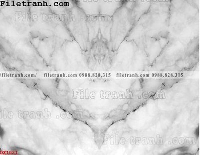 File tranh trang trí File vân đá đá cẩm thạch đối xứng DX1021 (file gốc)