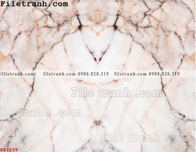 File ảnh File vân đá đá cẩm thạch đối xứng DX1239 (gốc) in poster
