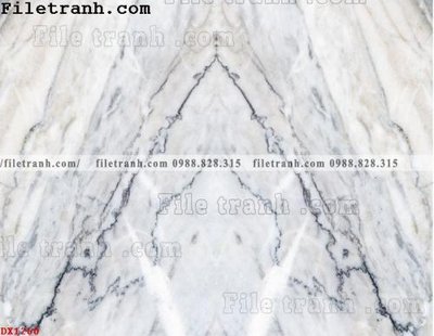 Ảnh gốc File vân đá đá cẩm thạch đối xứng DX1260 (độ nét cao) in tráng gương