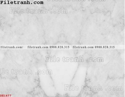 File tranh gốc File vân đá đá cẩm thạch đối xứng DX1477 (bản đẹp) độc quyền