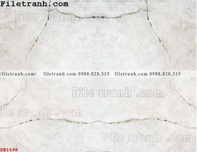 File tranh File vân đá đá cẩm thạch đối xứng DX1598 (ảnh gốc) in trần nhà