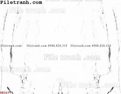 File gốc File vân đá đá cẩm thạch đối xứng DX1679 (phong cách) châu Âu